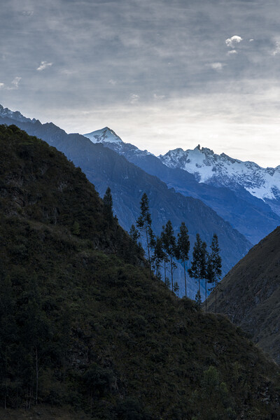 Andes mountains, Peru Picture Board by Phil Crean