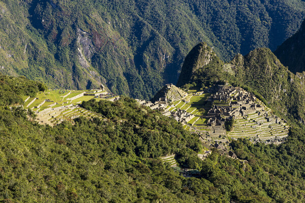 Machu Picchu Peru  Picture Board by Phil Crean