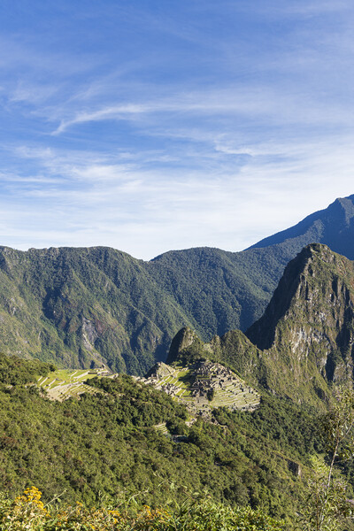 Machu Picchu Peru Picture Board by Phil Crean