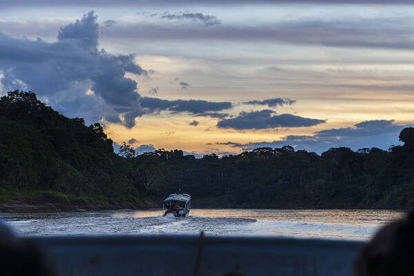 Boat on the Tambopata river, Peru Picture Board by Phil Crean