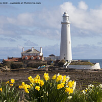 Buy canvas prints of Springtime at St Mary's Island by Jim Jones