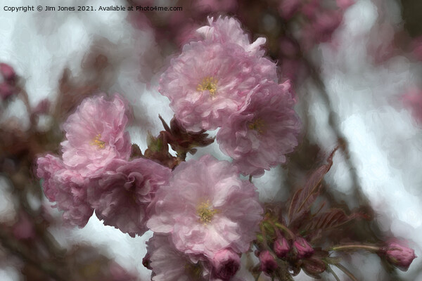 Dreamy Soft Cherry Blossom Picture Board by Jim Jones