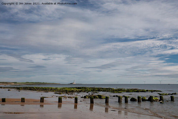 The beach at Whitley Bay in June (2) Picture Board by Jim Jones