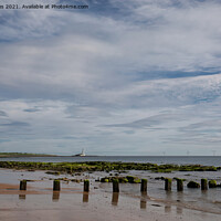 Buy canvas prints of The beach at Whitley Bay in June (2) by Jim Jones
