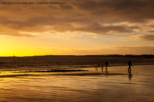 Dog walkers on the beach at sunrise Picture Board by Jim Jones
