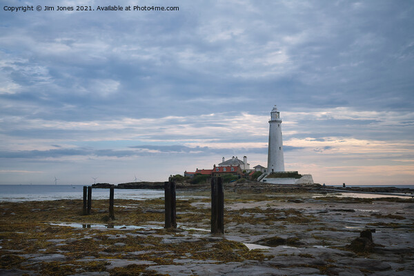 St Mary's Island and Lighthouse in August Picture Board by Jim Jones