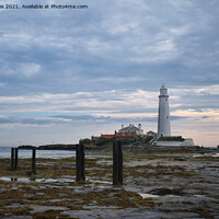 Buy canvas prints of St Mary's Island and Lighthouse in August by Jim Jones