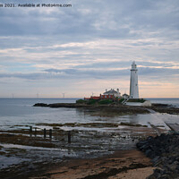 Buy canvas prints of St Mary's Island and Lighthouse in August (2) by Jim Jones