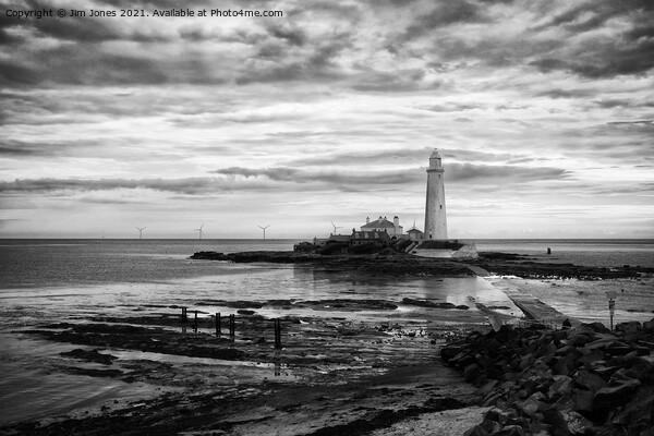 St Mary's Island and Lighthouse in August in Monochrome Picture Board by Jim Jones