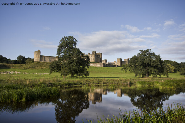 Alnwick Castle reflected in the River Aln (2) Picture Board by Jim Jones