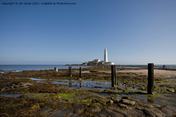 St Mary's Island at low tide Picture Board by Jim Jones