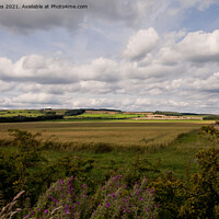 Buy canvas prints of The rolling hills of Northumberland by Jim Jones