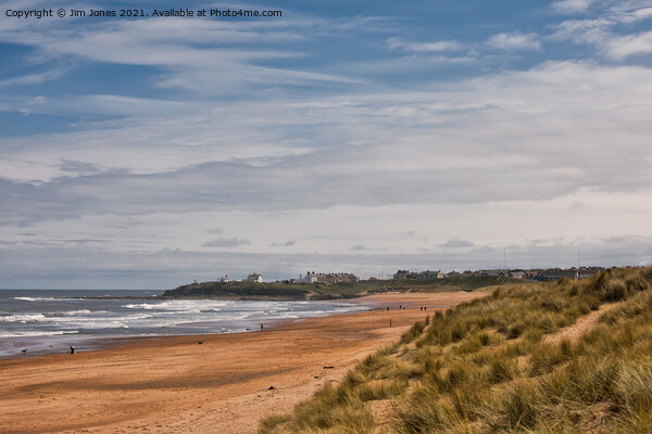 Springtime on the beach at Seaton Sluice Picture Board by Jim Jones