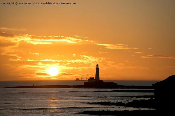 January sunrise at St Mary's Island Picture Board by Jim Jones