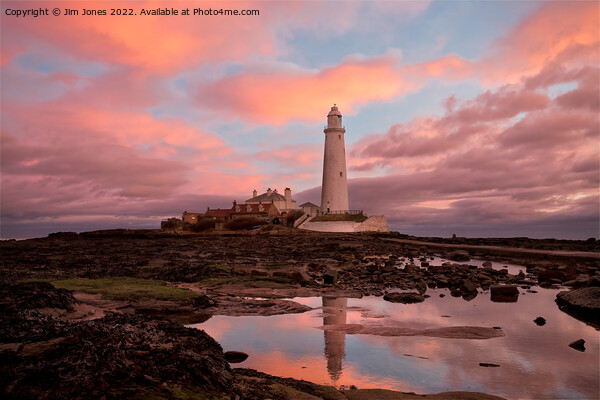Pink and Blue sunrise at St Mary's Island Picture Board by Jim Jones
