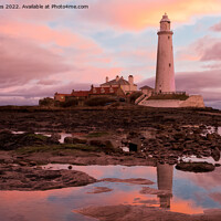 Buy canvas prints of Pink and Blue sunrise at St Mary's Island (2) by Jim Jones