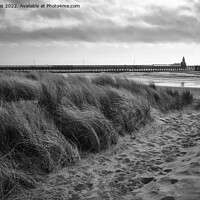 Buy canvas prints of The path to the beach - Monochrome by Jim Jones