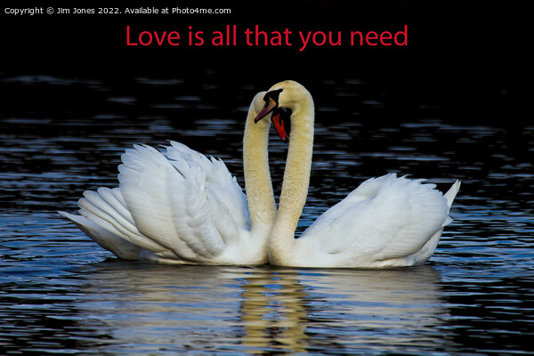 Love is all that you need Picture Board by Jim Jones