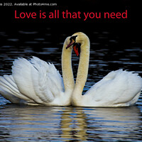 Buy canvas prints of Love is all that you need by Jim Jones