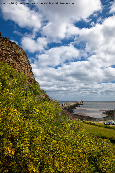 Tynemouth Castle and Pier Picture Board by Jim Jones