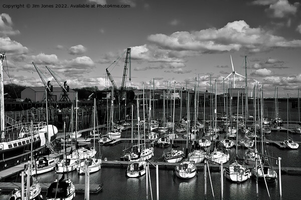 The Marina at South Harbour in Blyth, Northumberland - monochrome Picture Board by Jim Jones