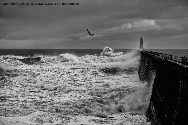 Stormy weather at Tynemouth Pier - Monochrome Picture Board by Jim Jones