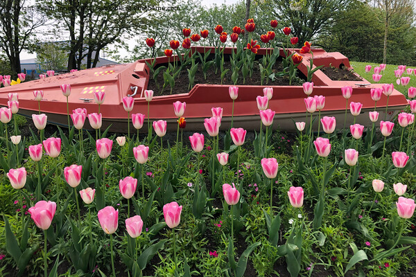 Tulips Picture Board by Jim Jones