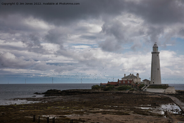 St Mary's Island under a stormy sky Picture Board by Jim Jones