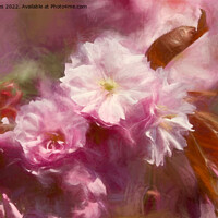 Buy canvas prints of Pastel Pink Impressions by Jim Jones