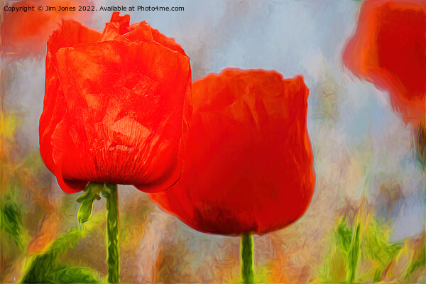 Artistic Poppies Picture Board by Jim Jones
