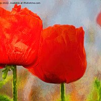 Buy canvas prints of Artistic Poppies by Jim Jones