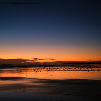 Buy canvas prints of Silhouetted Seagulls on the Sand before Sunrise (2) by Jim Jones