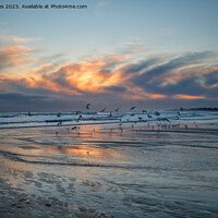 Buy canvas prints of Seagulls at Sunrise by Jim Jones