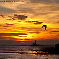 Buy canvas prints of Sunrise, silhouettes and a seagull by Jim Jones