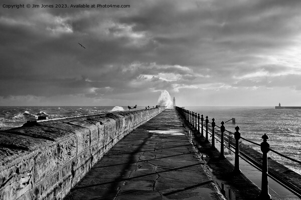 January storm on Tynemouth pier - Monochrome Picture Board by Jim Jones