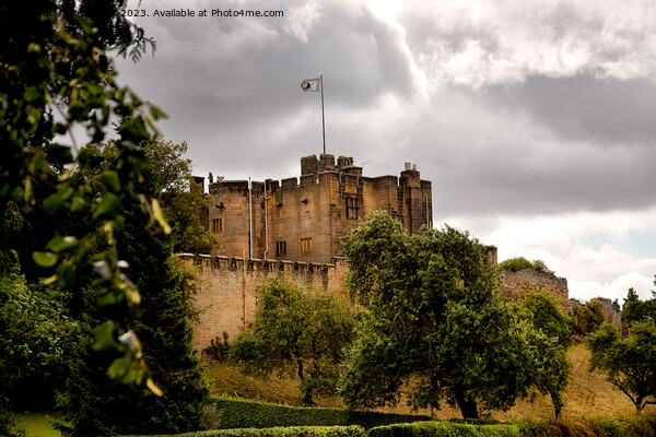  Bothal Castle in Northumberland Picture Board by Jim Jones