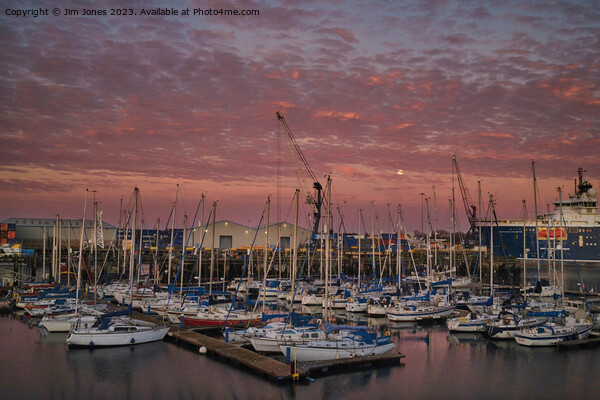 Sunrise at the marina Picture Board by Jim Jones