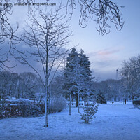 Buy canvas prints of Spring Snow in the Park by Jim Jones