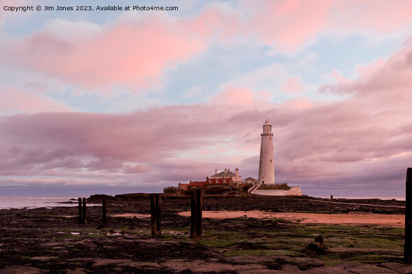 St Mary's Island in Pink and Blue Picture Board by Jim Jones