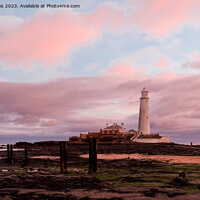 Buy canvas prints of St Mary's Island in Pink and Blue by Jim Jones