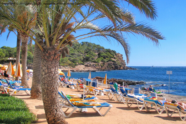 Relaxing in Ibiza Picture Board by Jim Jones