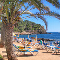 Buy canvas prints of Relaxing in Ibiza by Jim Jones