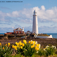 Buy canvas prints of Springtime at St Mary's Island by Jim Jones