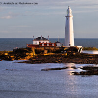 Buy canvas prints of St Mary's Island and Lighthouse caught in a shaft of sunlight. by Jim Jones