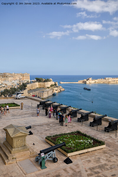 Saluting Battery, Valletta - Portrait Picture Board by Jim Jones