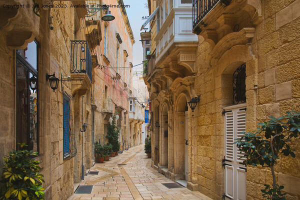 Auberge d'Auvergne et Provence, Birgu, Malta Picture Board by Jim Jones