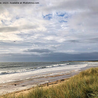 Buy canvas prints of Blustery day on the beach by Jim Jones