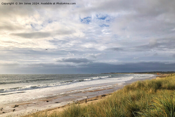 Breezy October in Northumberland Picture Board by Jim Jones