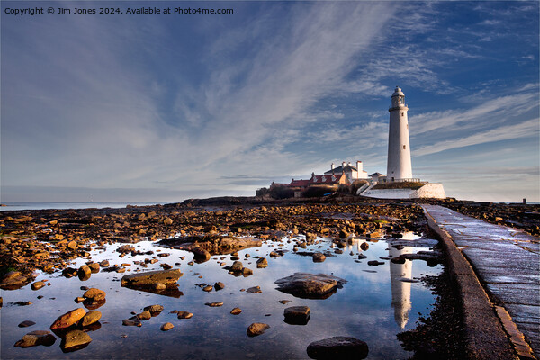St Mary's Island in winter sunshine Picture Board by Jim Jones