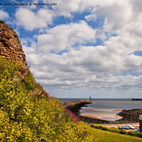 Buy canvas prints of The mouth of the River Tyne by Jim Jones